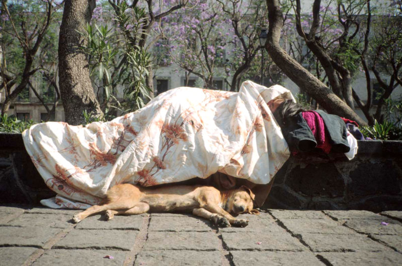 Une personne sans domicile en train de dormir sur un banc accompagnée de son chien par Francis Alÿs, The sleepers, 1999