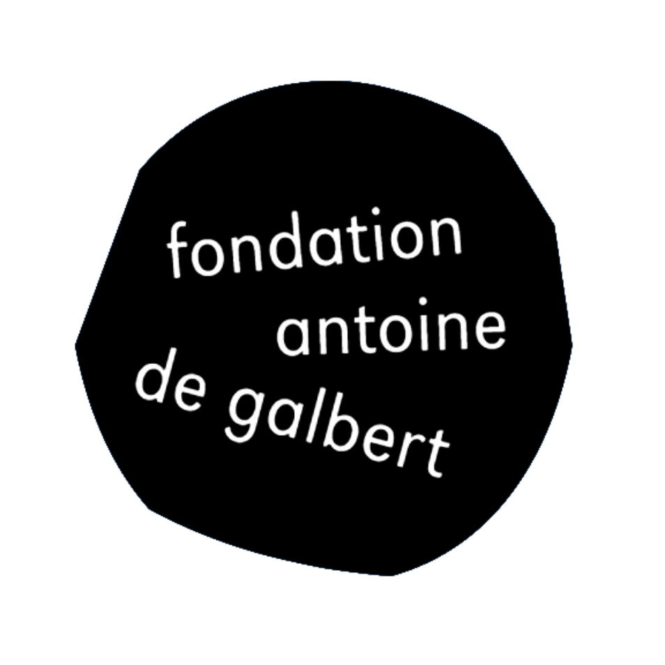 Logo Fondation Antoine de Galbert