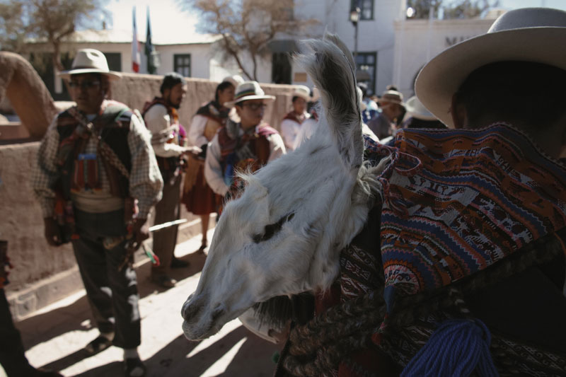 Shingo Yoshida, Atacama, Chili