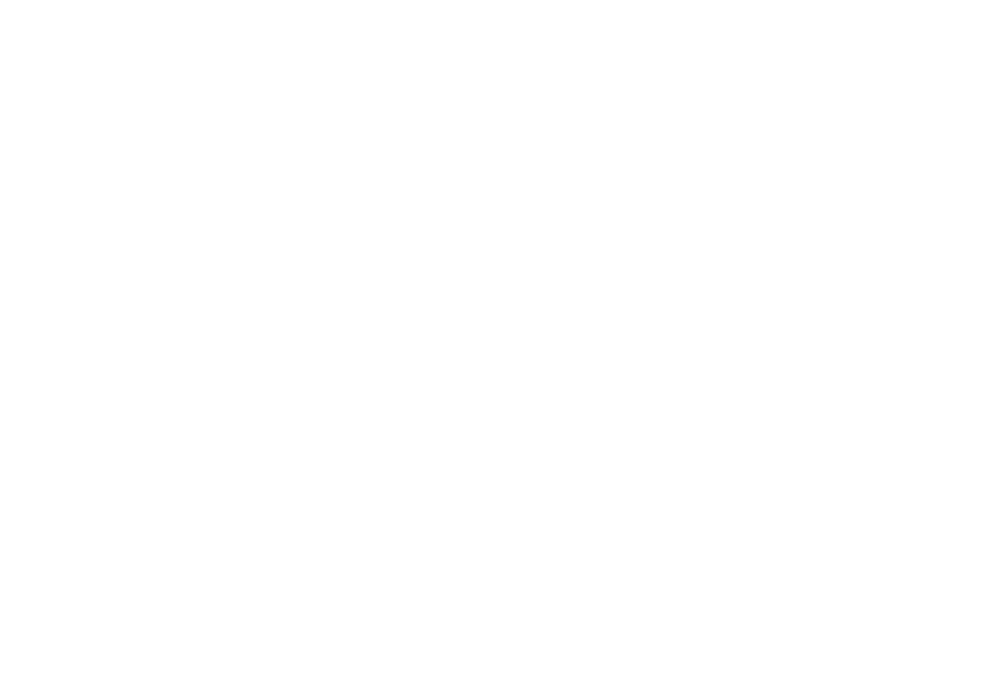 Logo Fonds de dotation Emerige