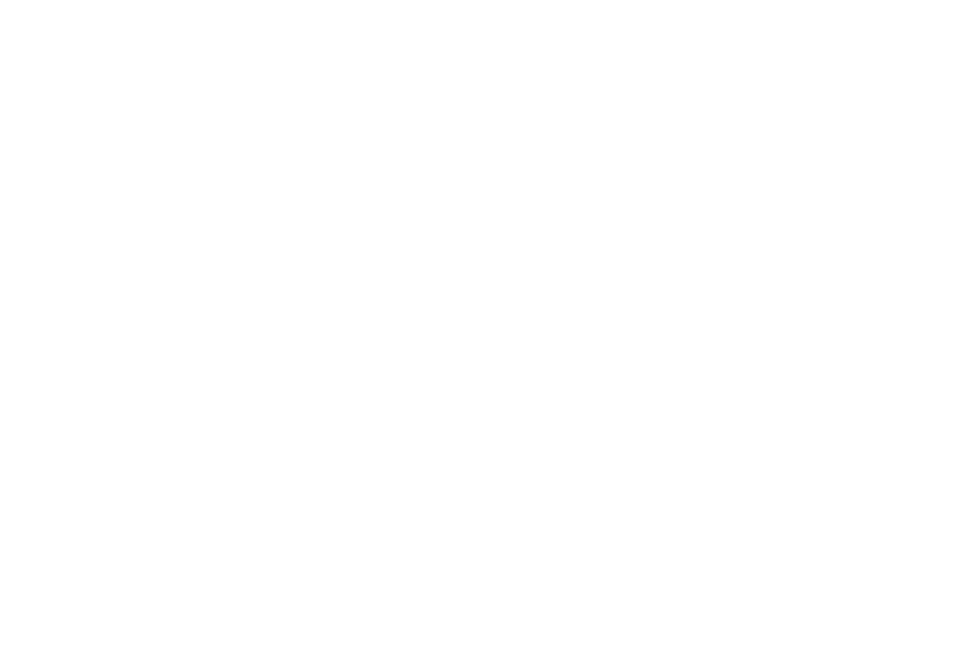 Logo Emerige Endowment Fund