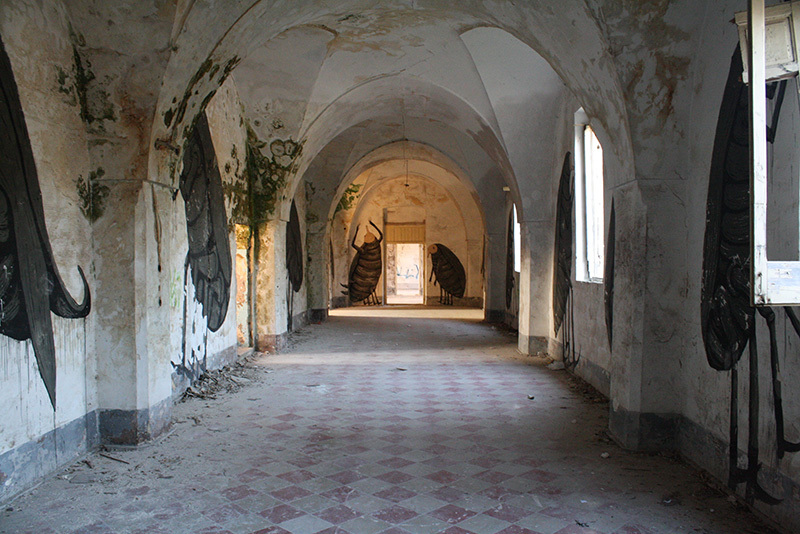 Ericailcane, peintures murales dans un couvent abandonné, Grottaglie, FAME Festival, 2009 © Vittorio Parisi