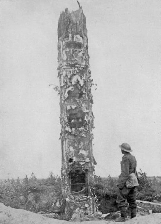 Arbre calciné sur le front de guerre