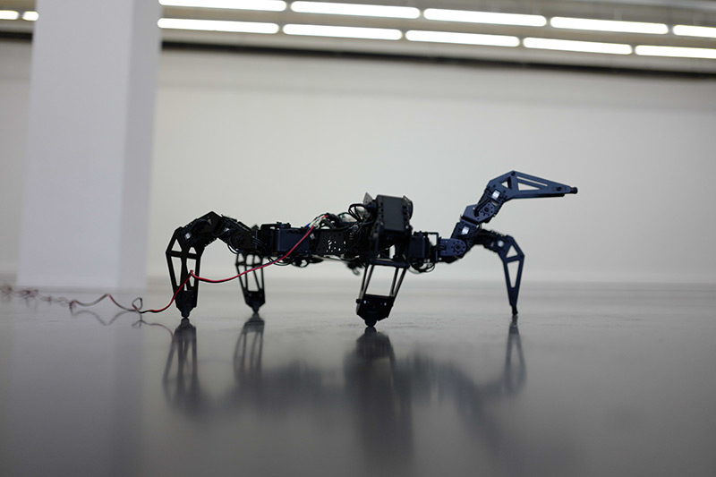 Fabien Zocco, Spider & I
