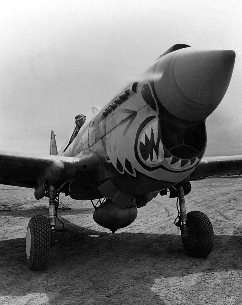 Un Curtiss P-40 Warhawk de l'U.S. Army Air Force du 11th Fighter Squadron, 343rd Fighter Group en Alaska (USA), vers 1943.